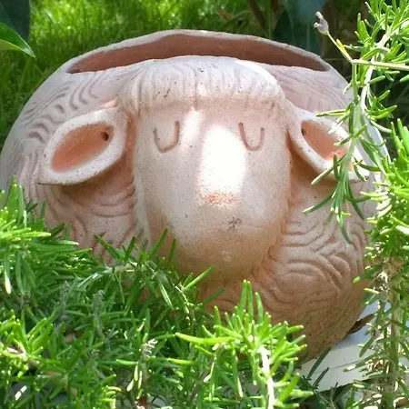 Le Pecore Di Terracotta Apartmán *