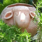 Le Pecore Di Terracotta Appartement *