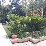 Appartement Le Pecore Di Terracotta Pesaro