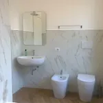 Le Pecore Di Terracotta Pesaro