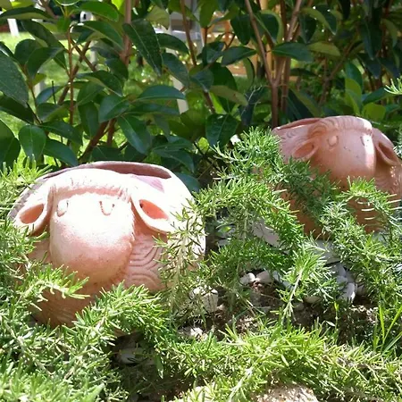 Le Pecore Di Terracotta Apartment *