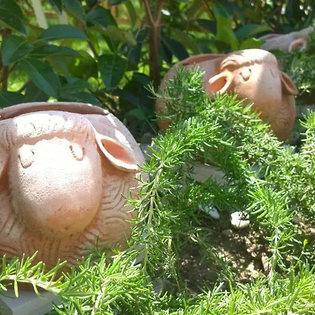 Le Pecore Di Terracotta Daire