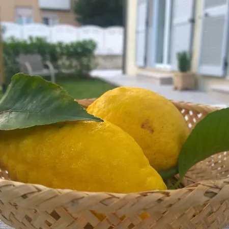 Le Pecore Di Terracotta Apartment *